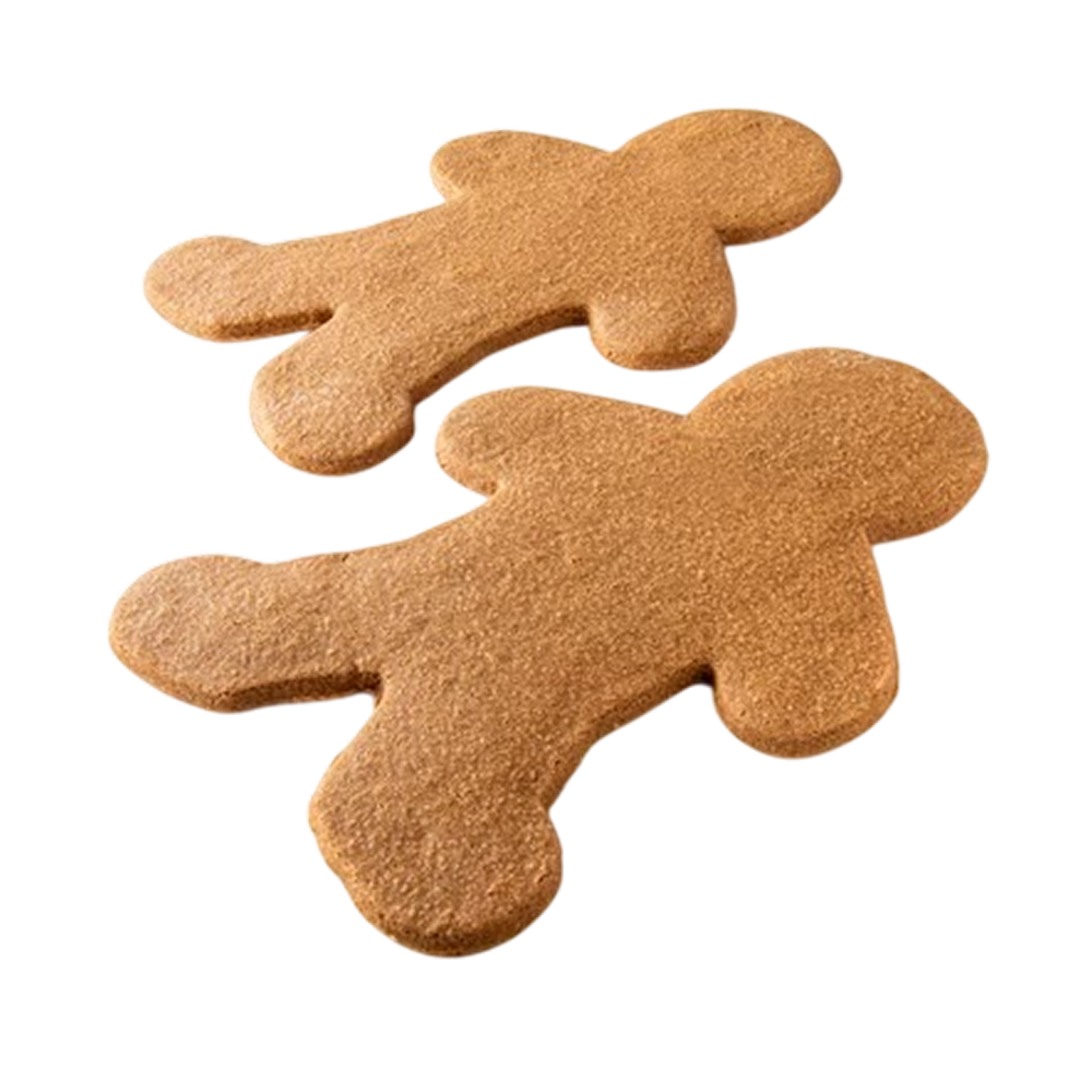 Allergen Friendly Gingerbread